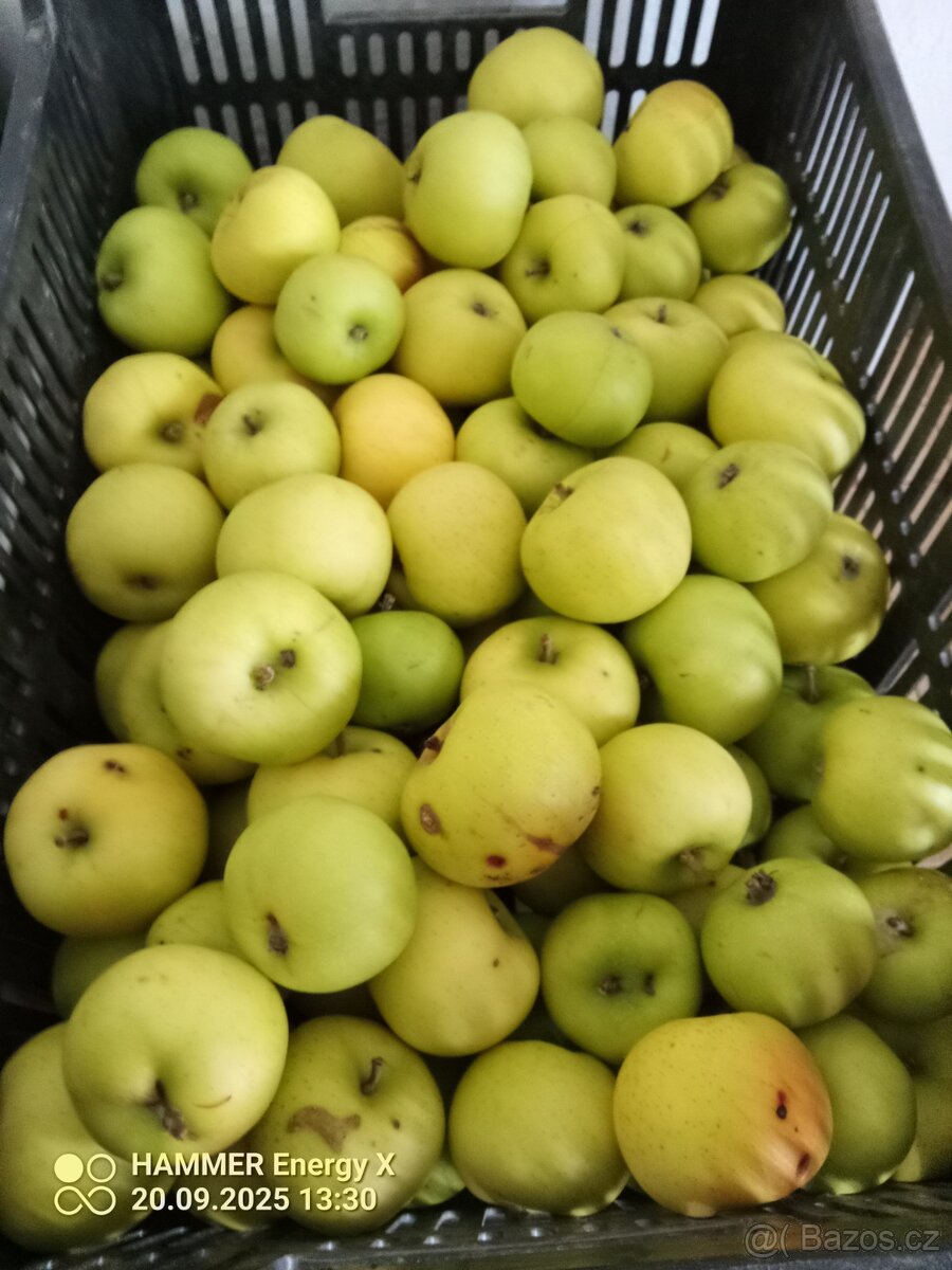 Jablka bio - 3