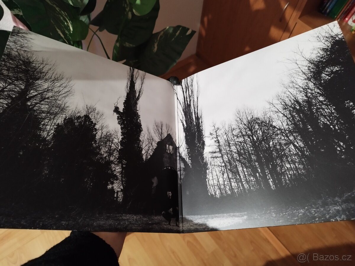 Vinyl Rest - Restart 2LP - 3