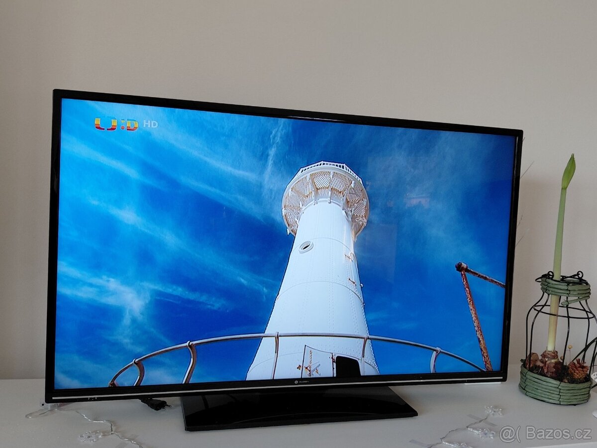 GOGEN TVF43P525T - 3