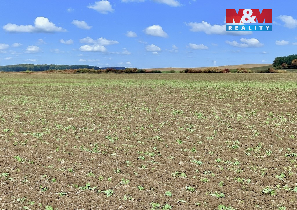 Prodej orné půdy, 26969 m², Dolní Roveň - Komárov - 3