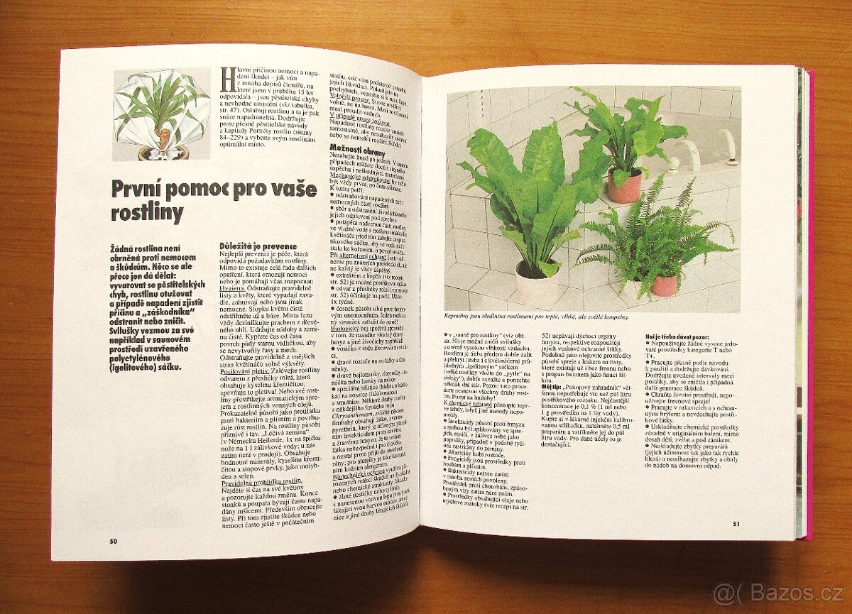 POKOJOVÉ ROSTLINY - Halina Heitz - 3