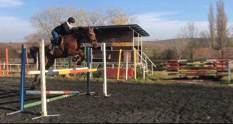 Valach po Aristo Z - 3