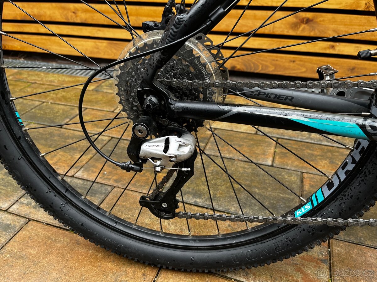 Kellys Spider - 3