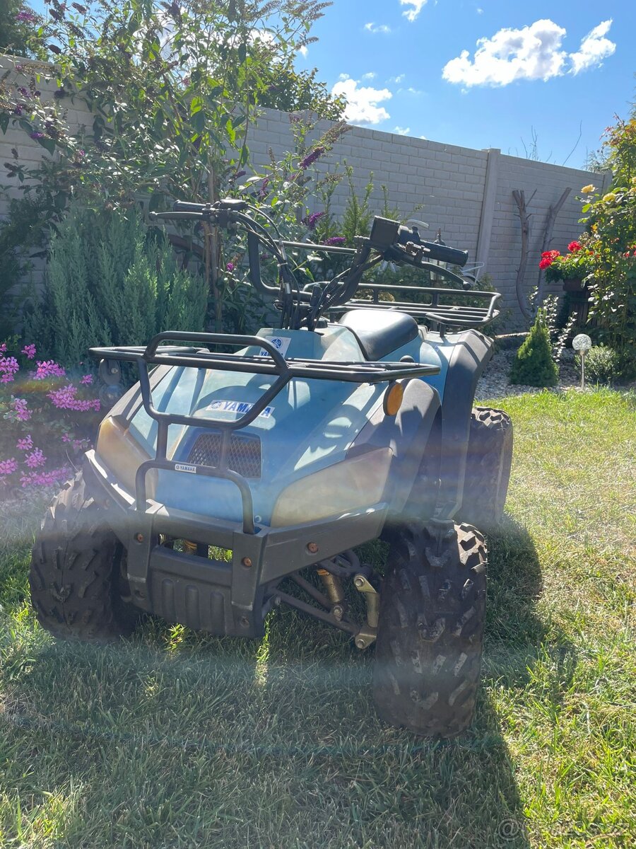 Atv 110