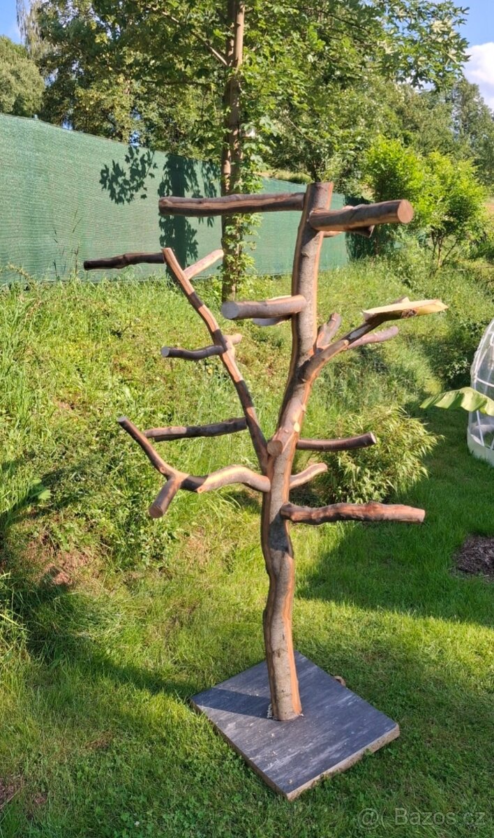 Nepoužitý strom pro velké papoušky - 3