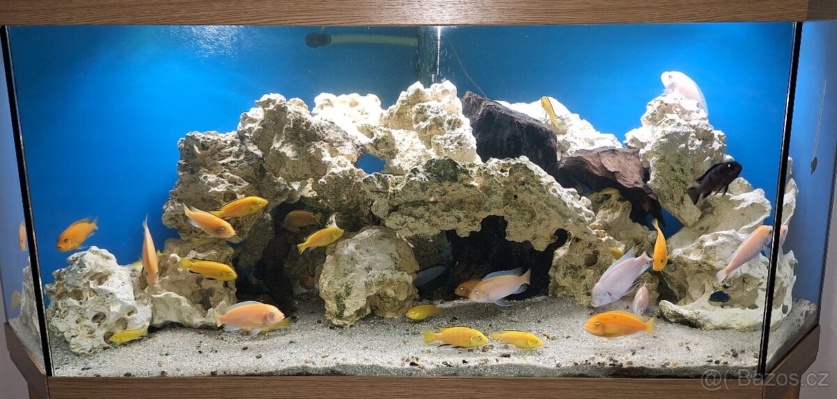 Akvárium rohové 350L - 3