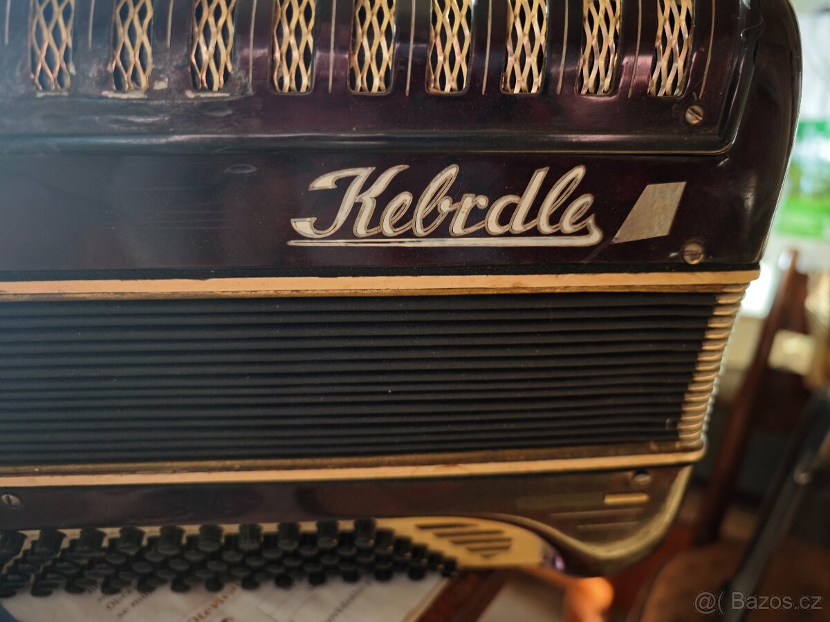 KNOFLÍKOVÁ HARMONIKA - KEBRDLE - 3