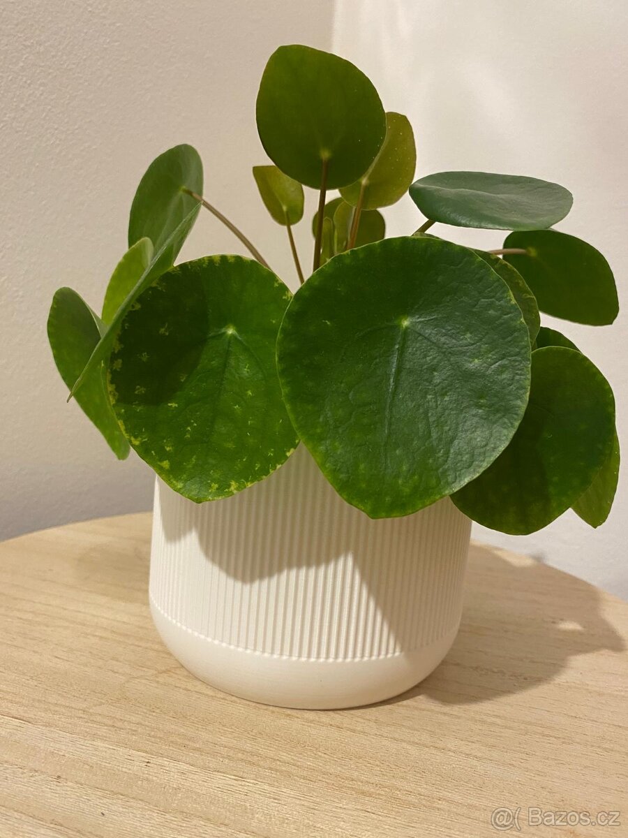 Květináče na míru - 3