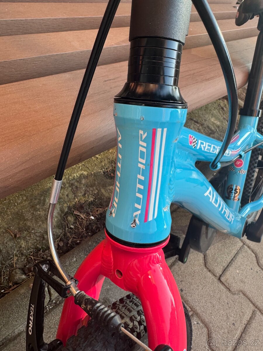 Author Record 16 - 3