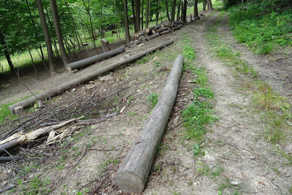 Palivové dřevo levně - 3