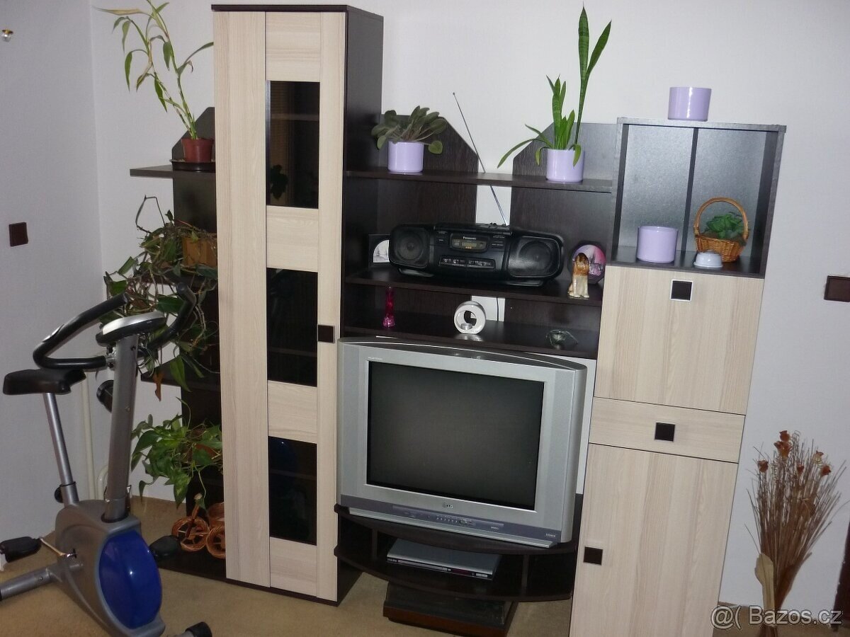 Stěna do pokoje, obývací stěna VENGE - 3