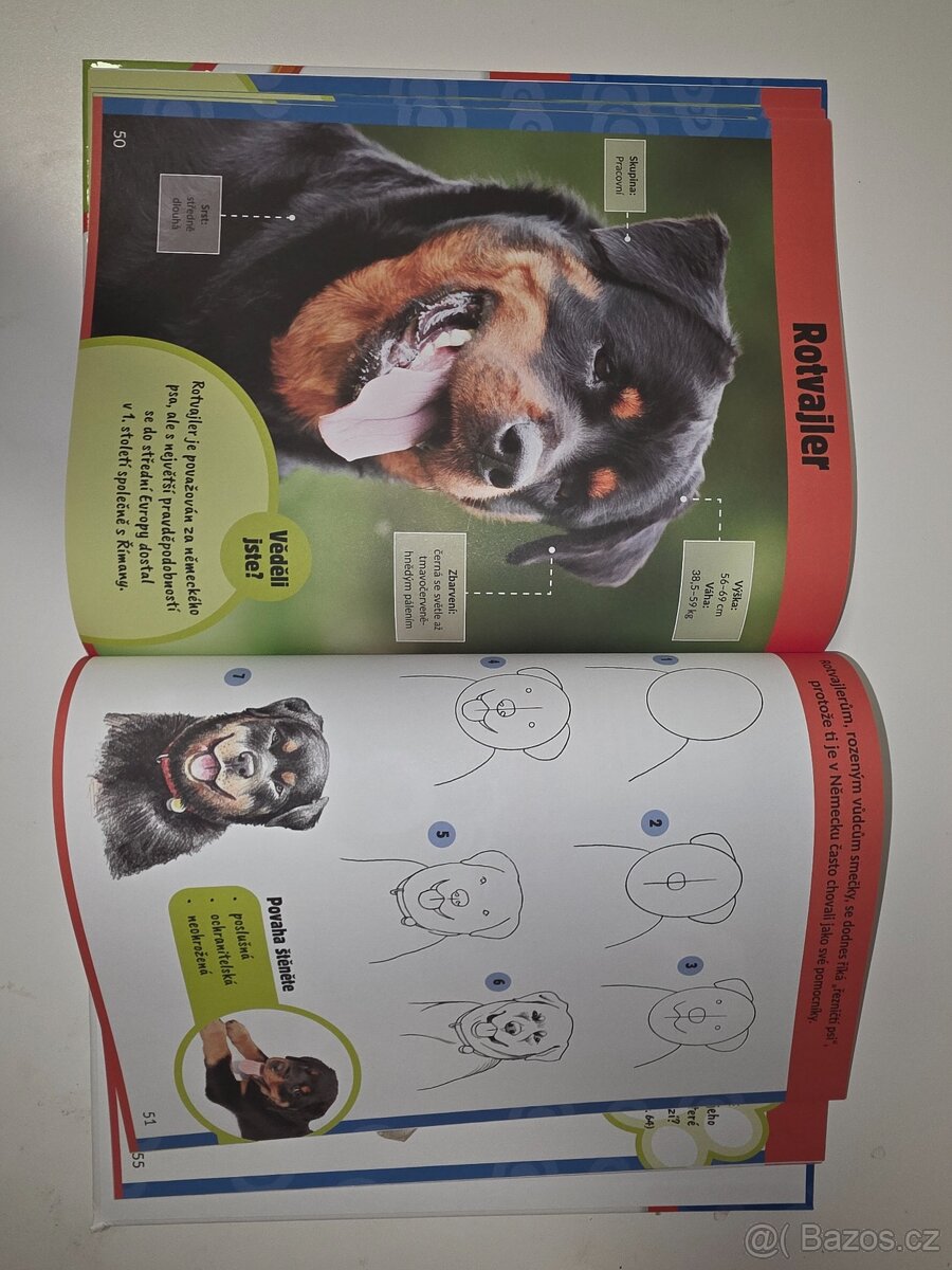 Jak kreslit psy a štěňata - 3