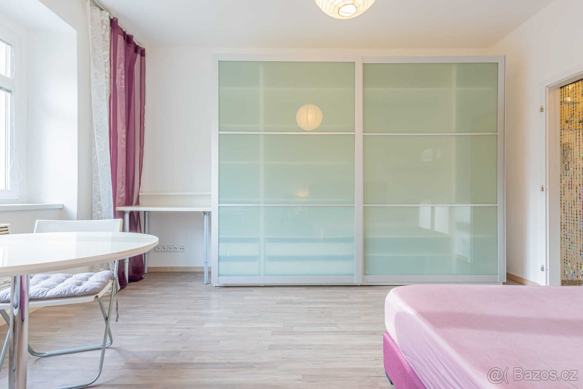 Pronájem bytu 1+1, U Pernštejnských, Praha - Nusle, Praha 4 - 3