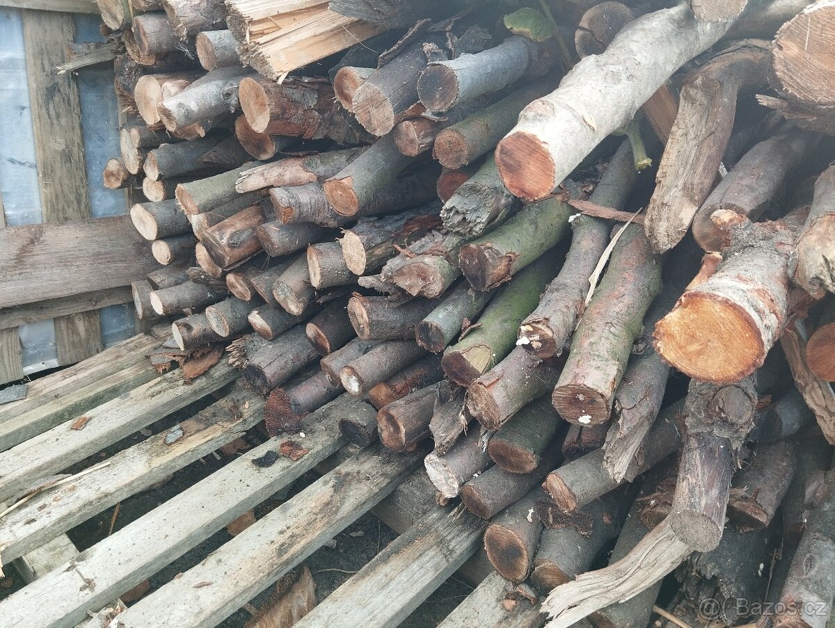 Dřevo - 3