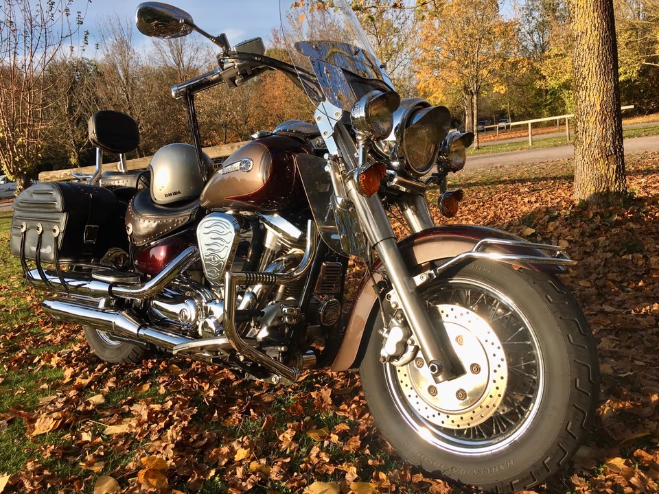 Yamaha XV 1600 WildStar - 3