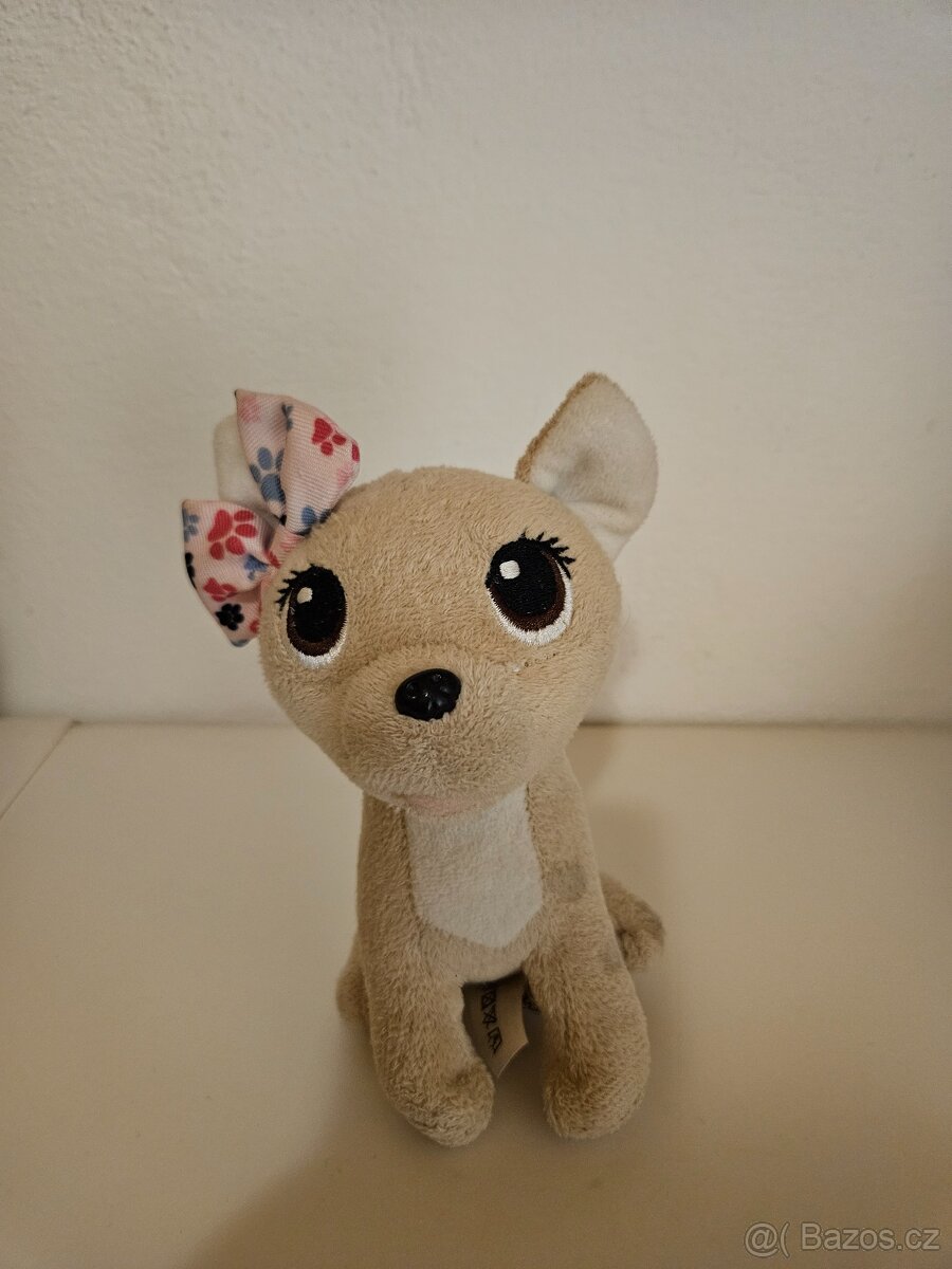 Simba Chi chi love čivava - 3