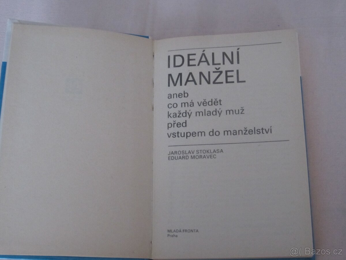 Kniha IDEÁLNÍ MANŽEL - 3