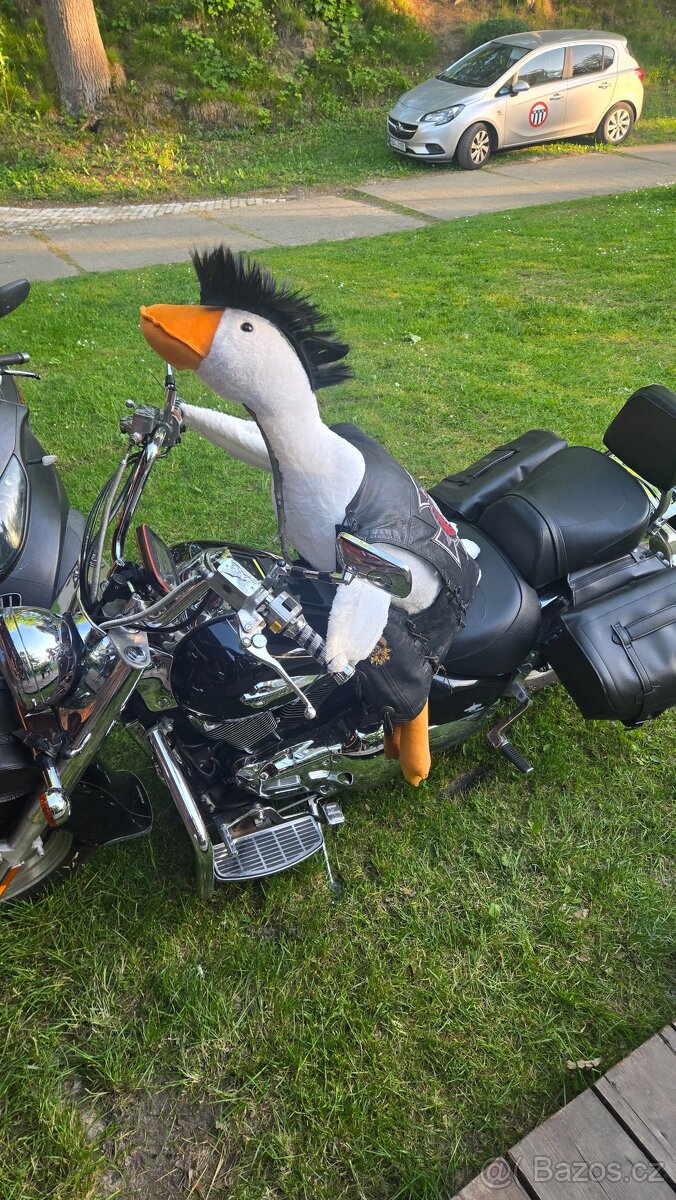 Suzuki Intruder - 3