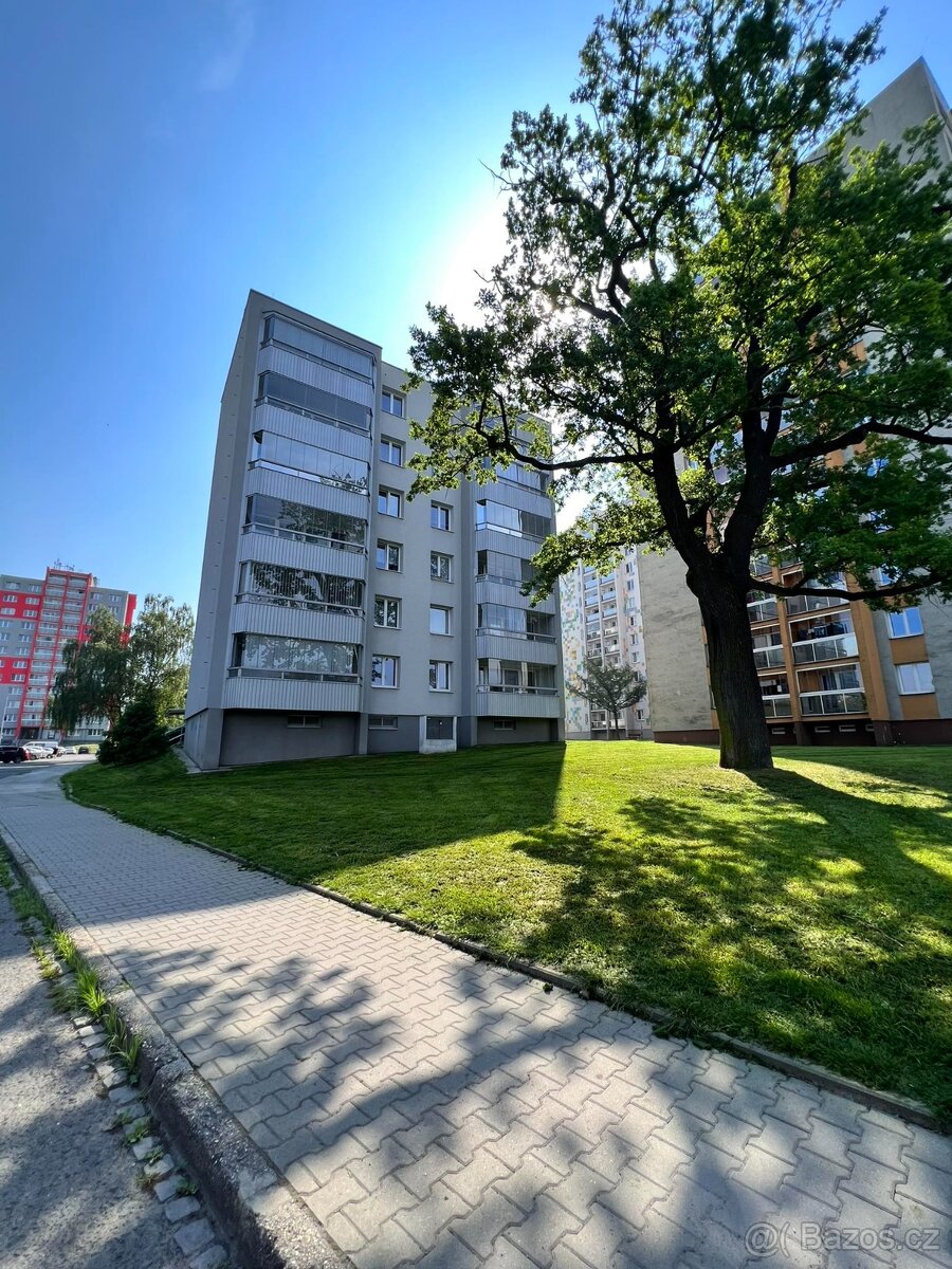 Pronájem bytu v Orlové, ul. U Kapličky - 3