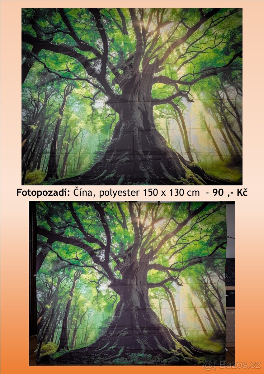 Foto pozadí - Strom v lese - 3