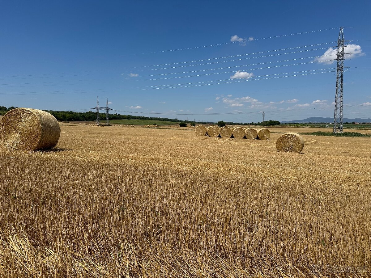 Pšeničná slama guľaté baliky - 3