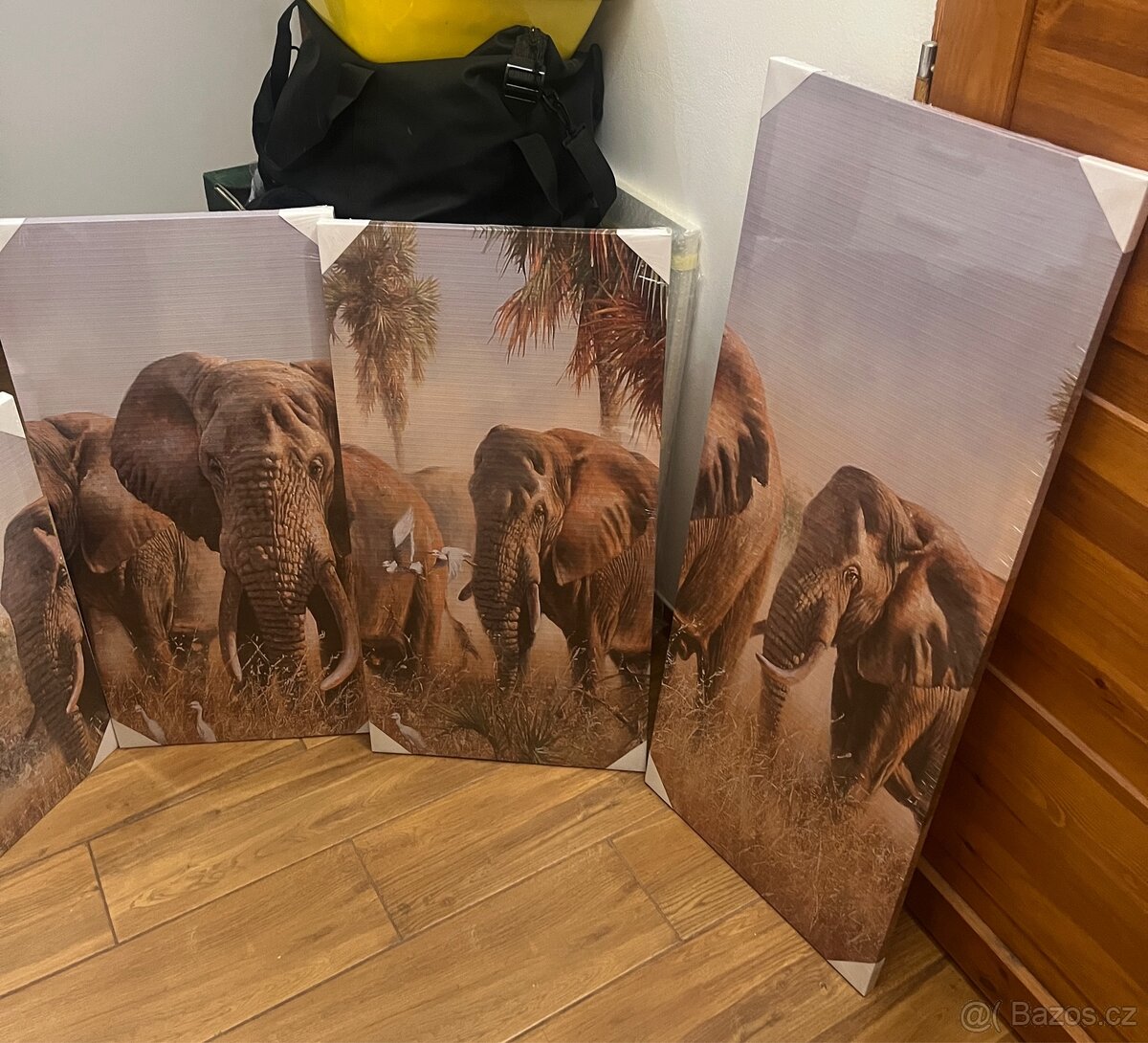Obrazy se slony - 3