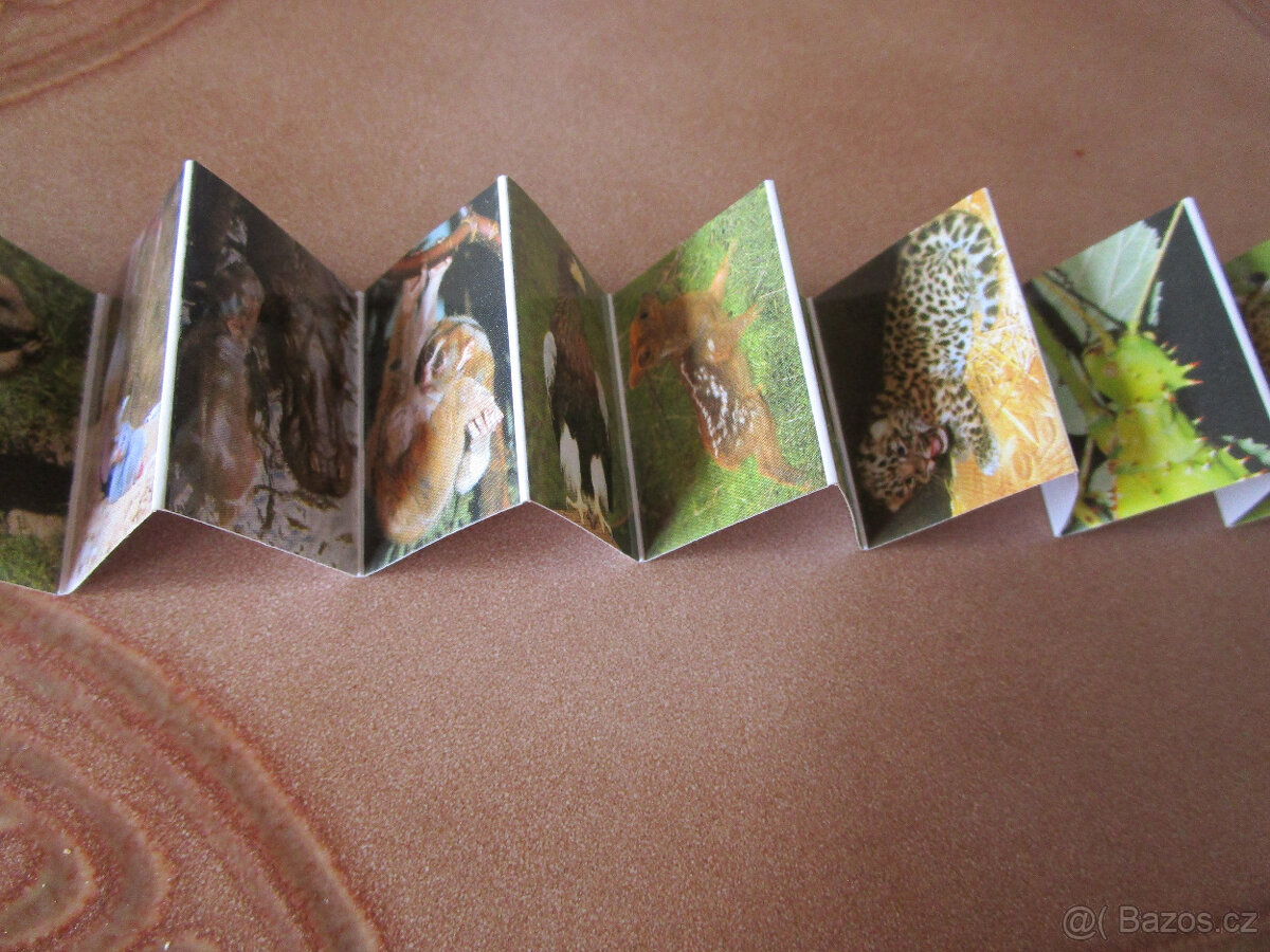 Pěkná hnědá kožená retro mini knížečka Zoo Praha - 3