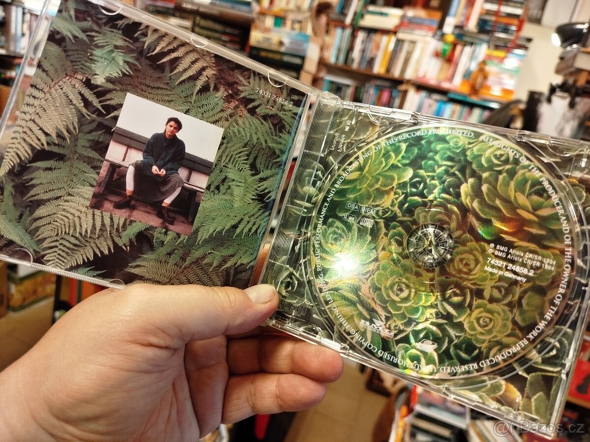 CD IVA BITTOVÁ - NE NEHLEDEJ (rarita) - 3