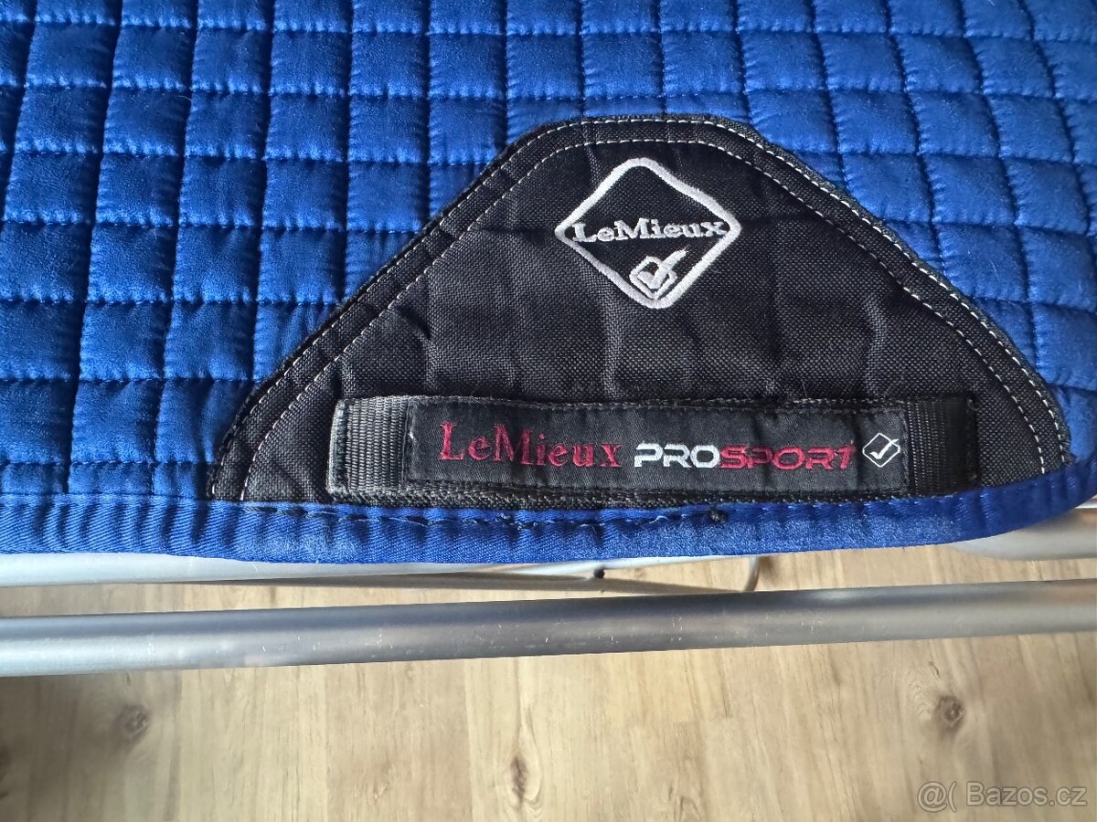 Lemieux drezurní - 3