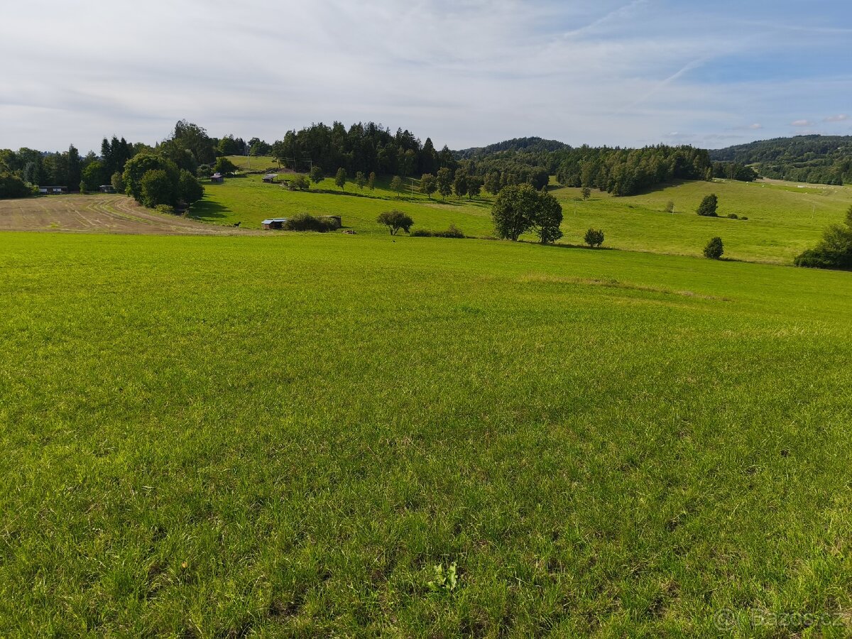 Ustájení koní - 3