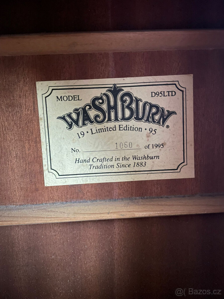 Washburn D95LTD - 3