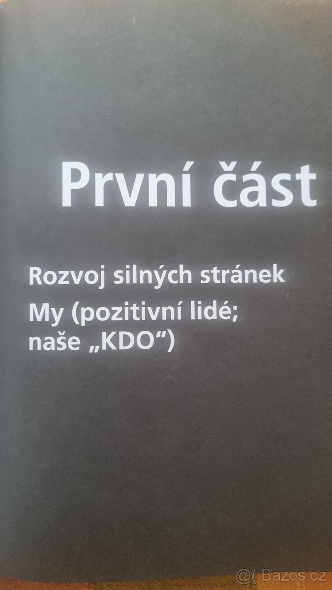 Pozitivní leader - 3