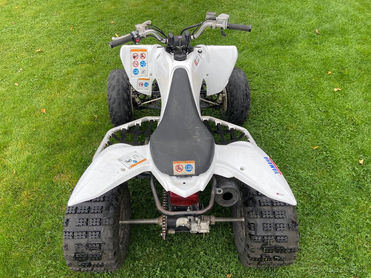 Yamaha Raptor 250
