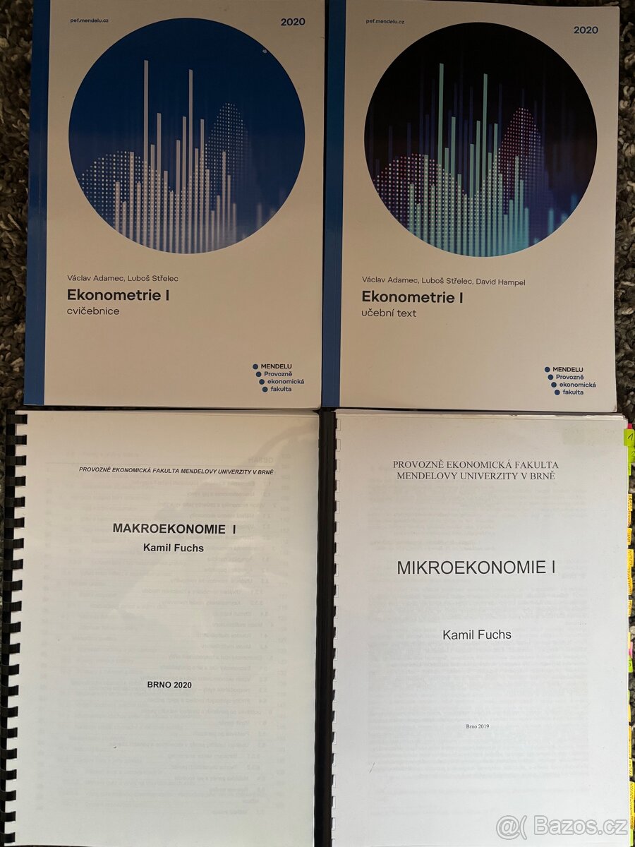 Učebnice angličtiny, Ekonomie R. Holman - 3