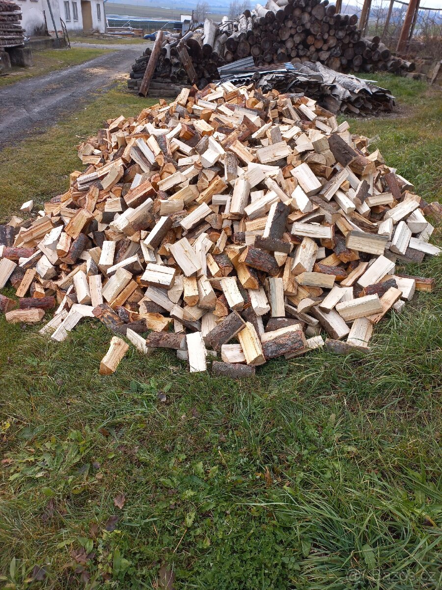 Palivové dřevo - 3