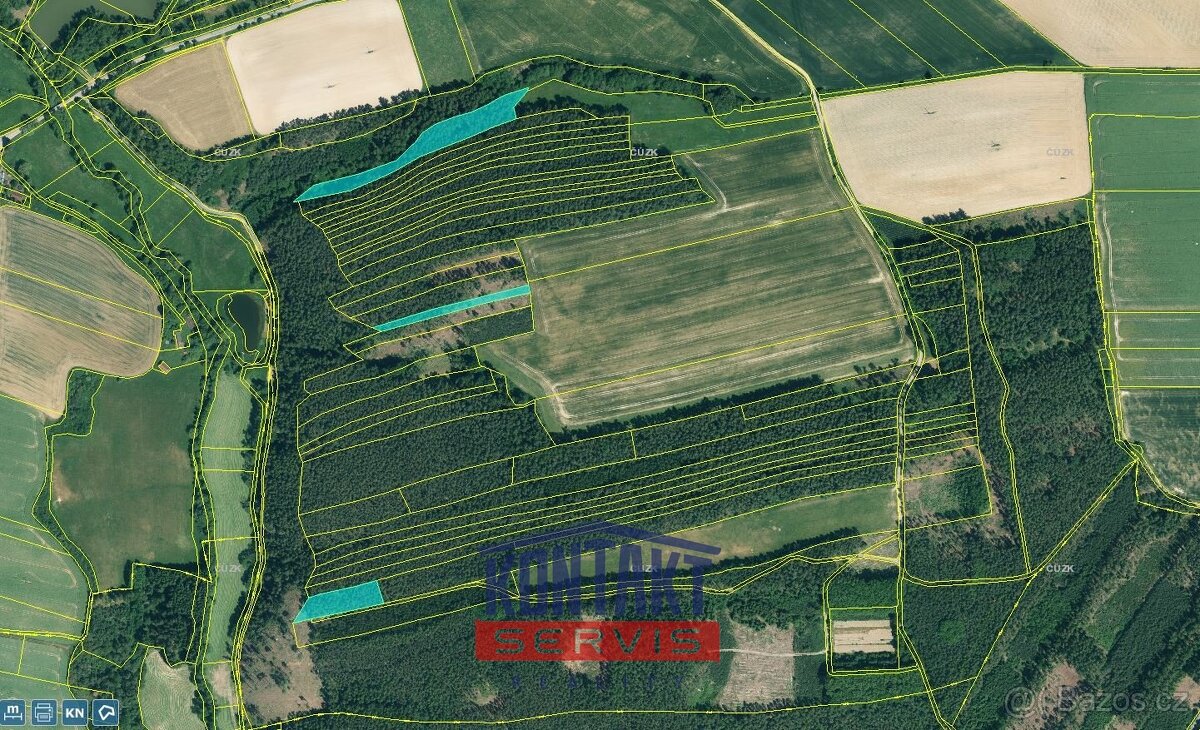 Prodej unikátních lesních pozemků v katastrálním území Hodyn - 3