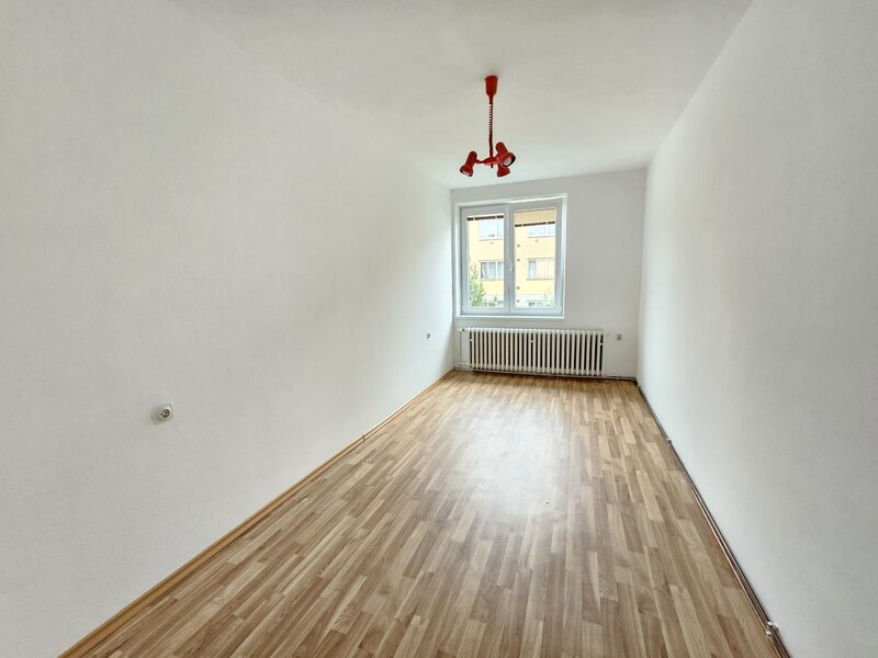 Pronájem bytu 3+1 ve Velkých Opatovicích - 3