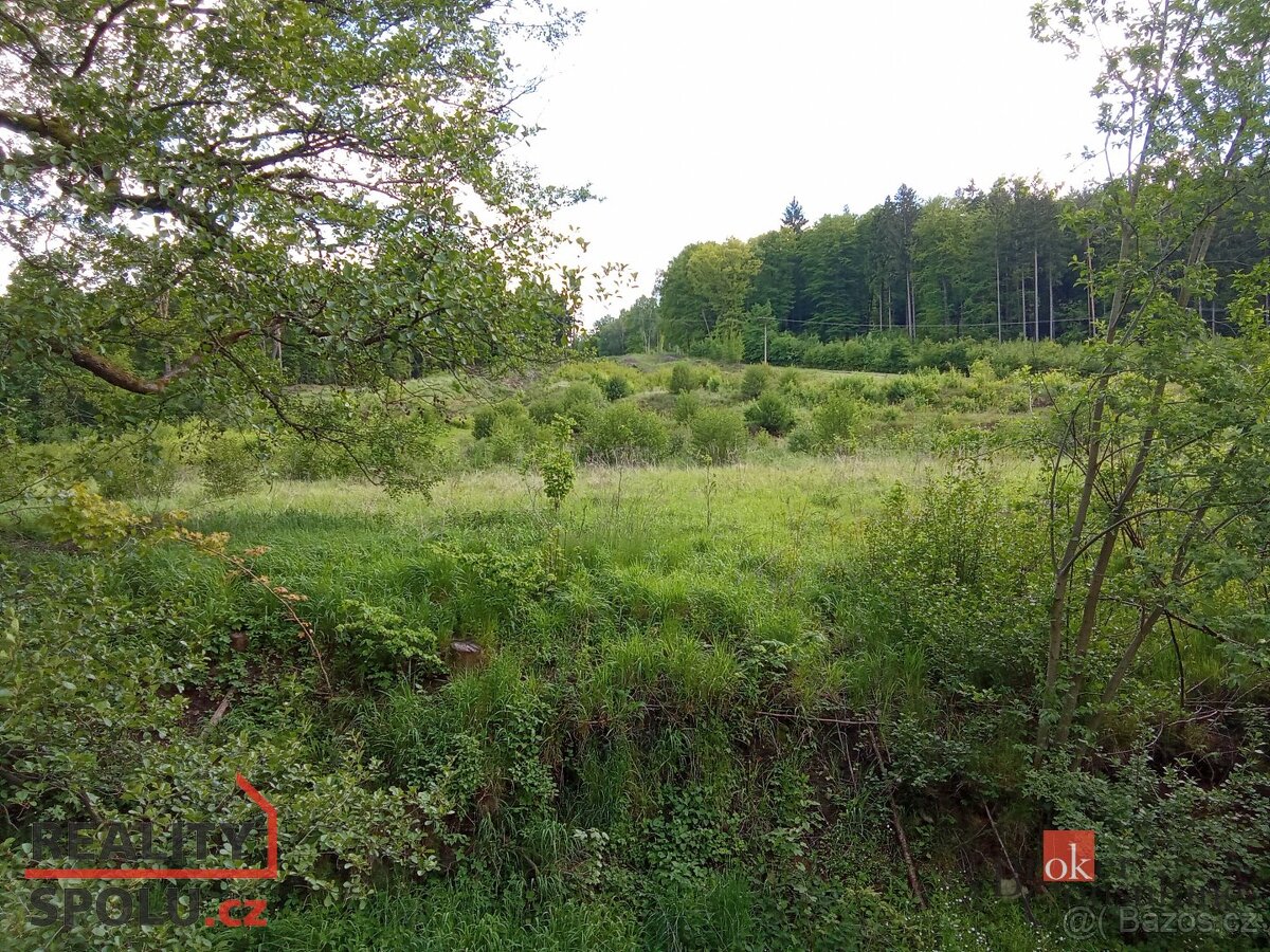 Prodej, pozemky/bydlení, 22894 m2, 40502 Janská, Děčín [ID 6 - 3