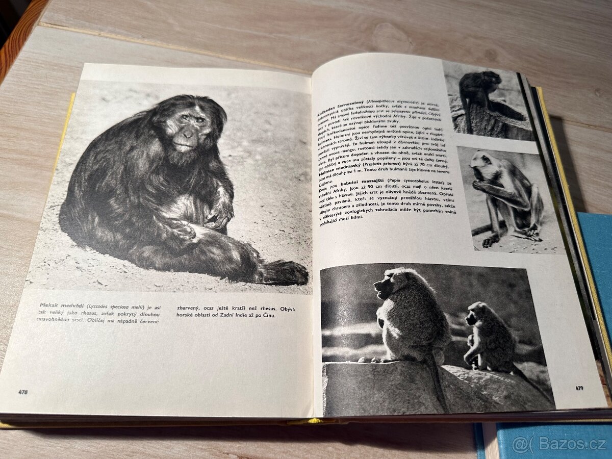 Knihy o zvířatech a o lovu - 3