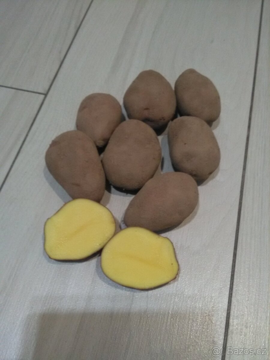 Konzumní brambory červené. - 3