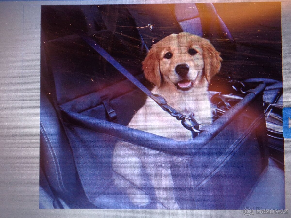 Autosedačka pro psa - 3