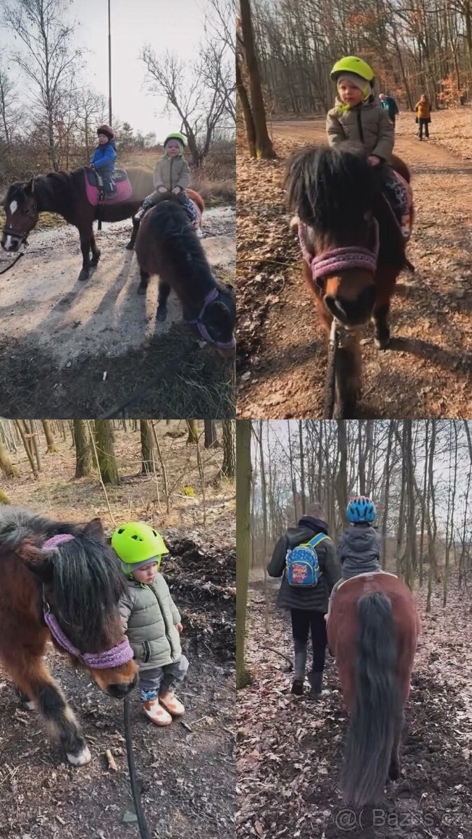 Koupíme malého poníčka - 3