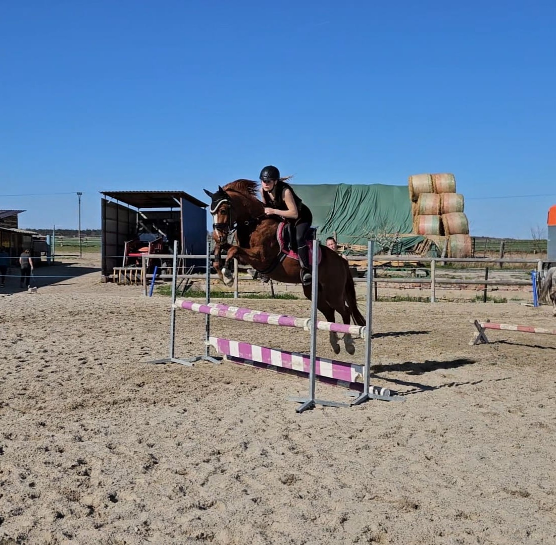 Sportovní pony B - 3