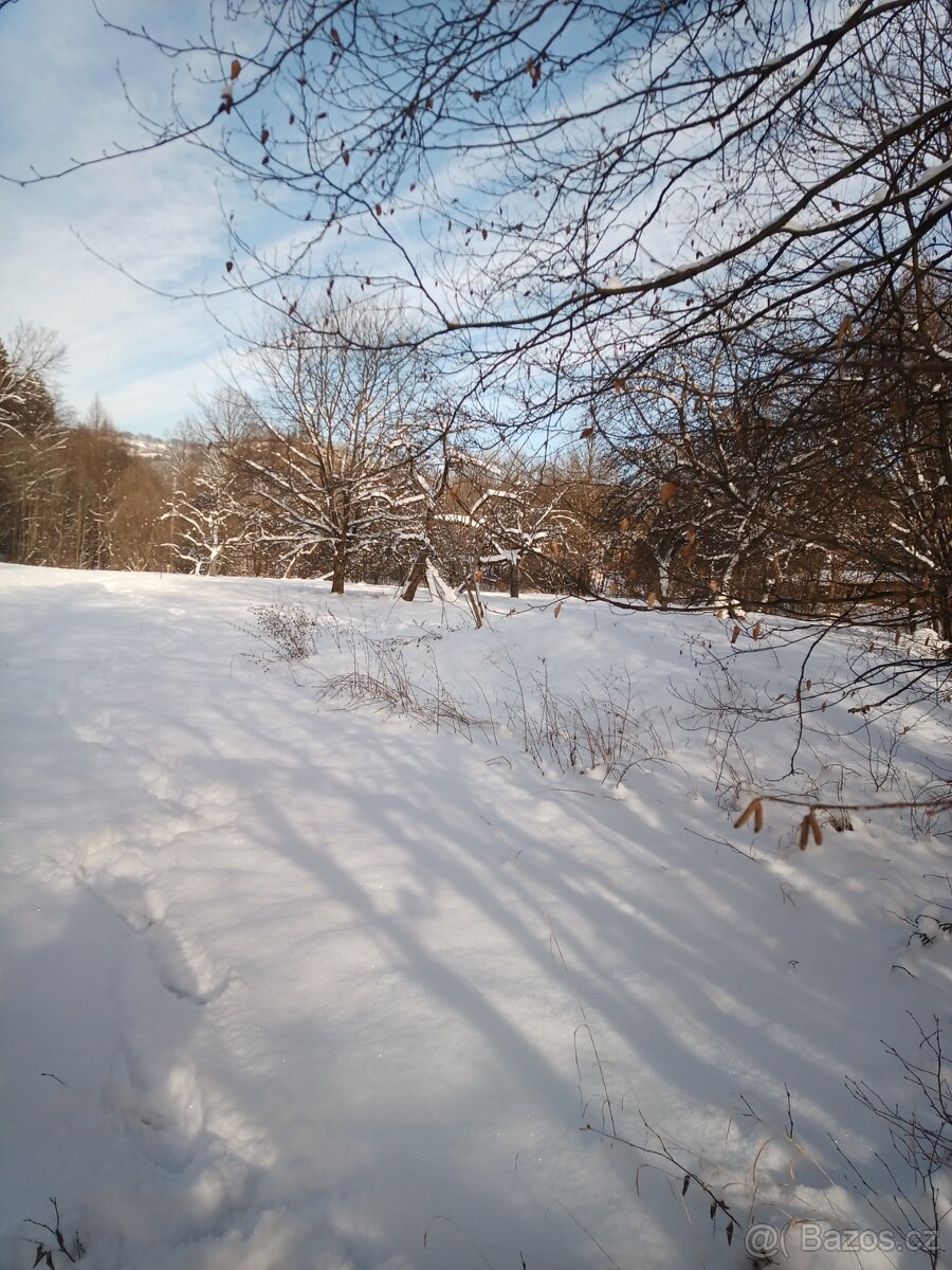 Valašská usedlost - 3