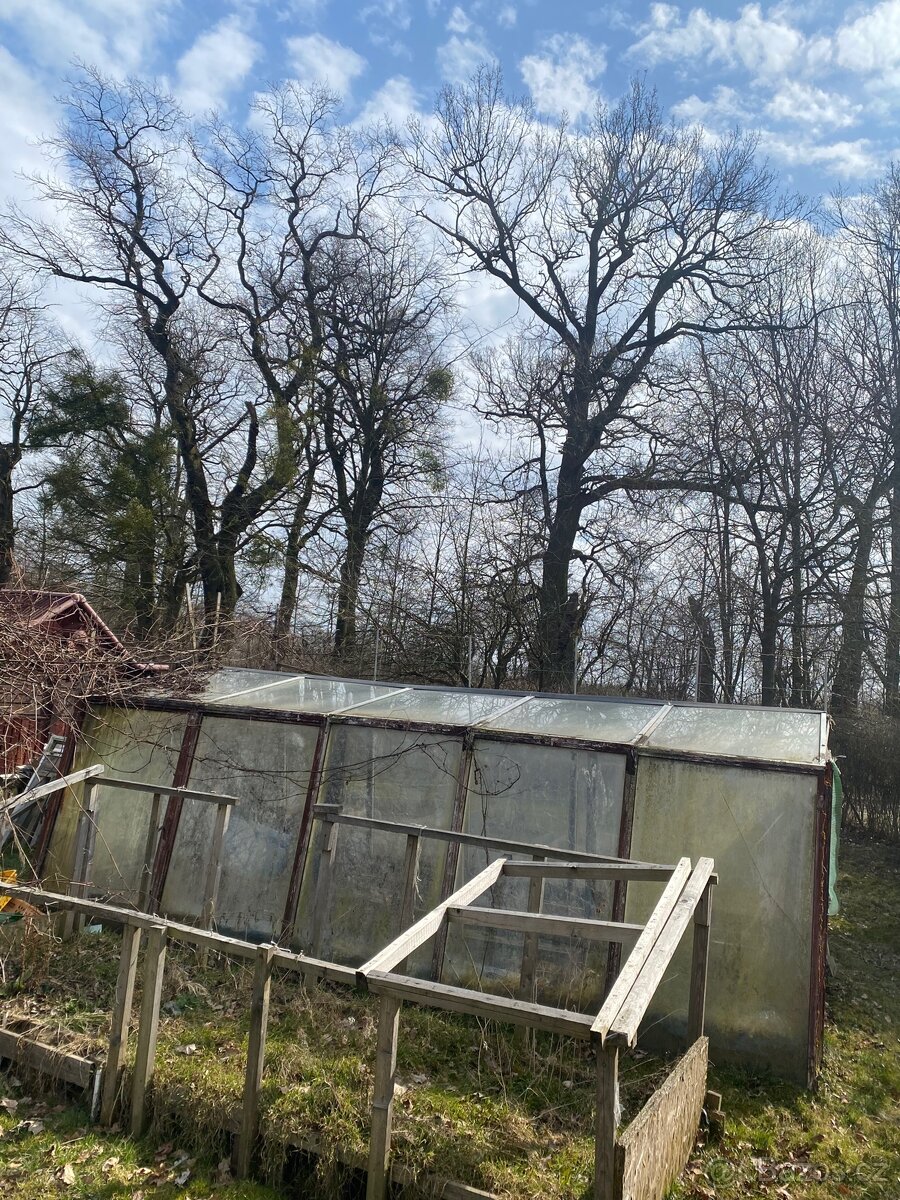 Skleník - 3