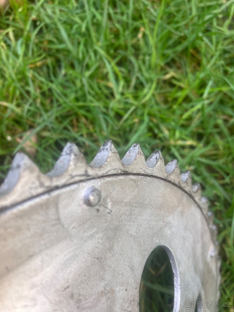 Rozeta jawa pionyr - 3