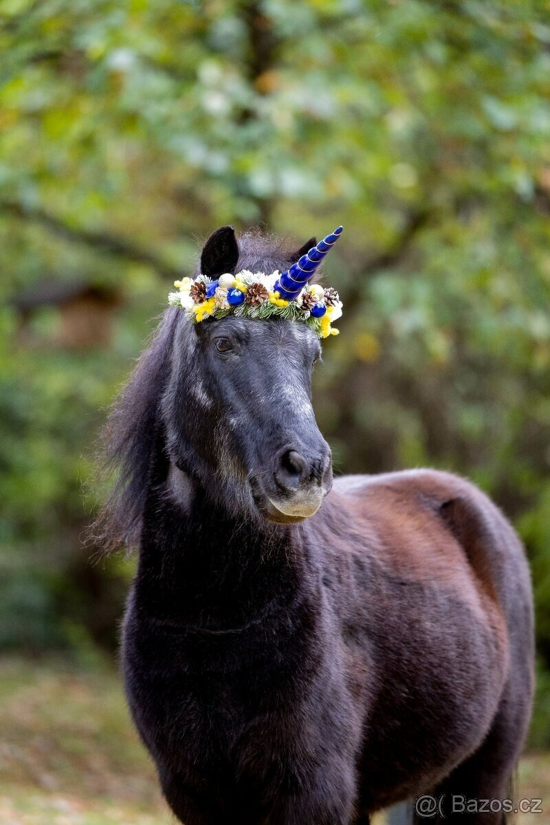 Jednorožčí čelenky na koně - 3