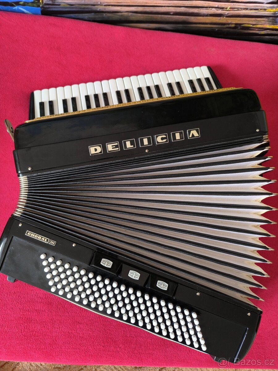 Akordeon Delicia - 3