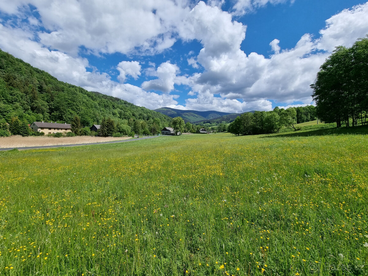 Prodej stavebního pozemku ve Vernířovicích - 3