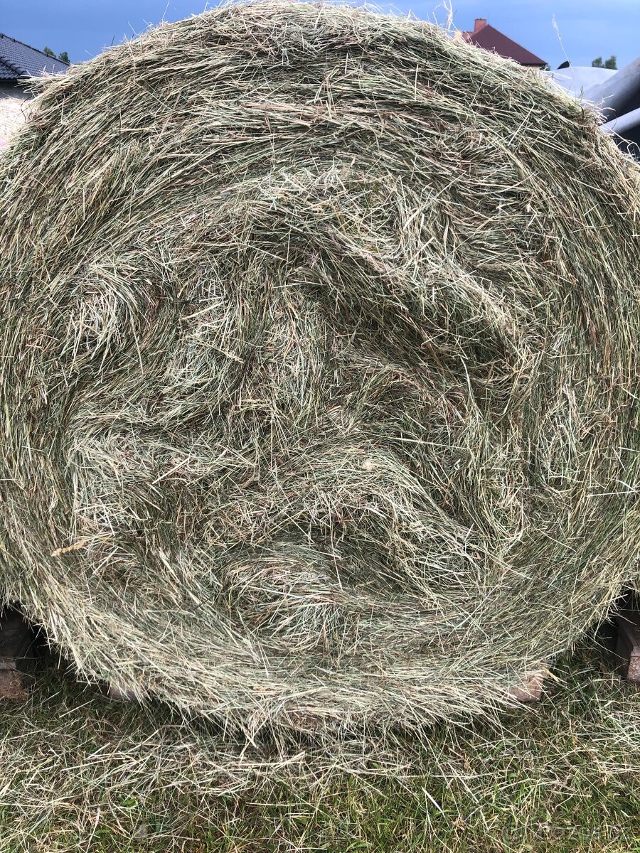 Seno kulaté balíky - 3